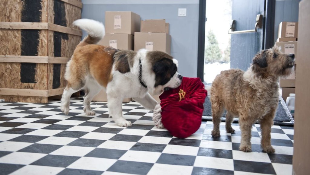 Beethoven sauve Noël