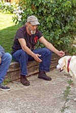 Chiens et chats sans collier