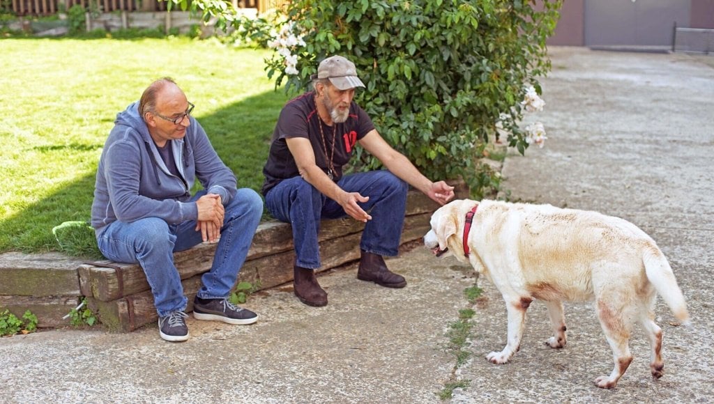 Chiens et chats sans collier Saison 9