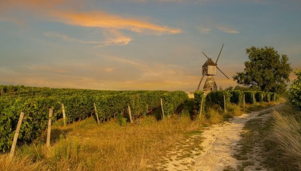 Pays de la Loire : sur la piste du crime