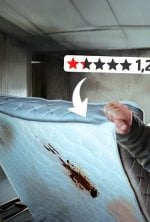 Joyca teste des lieux 1 étoile