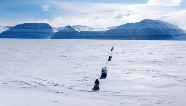 Arctique, l'océan blanc