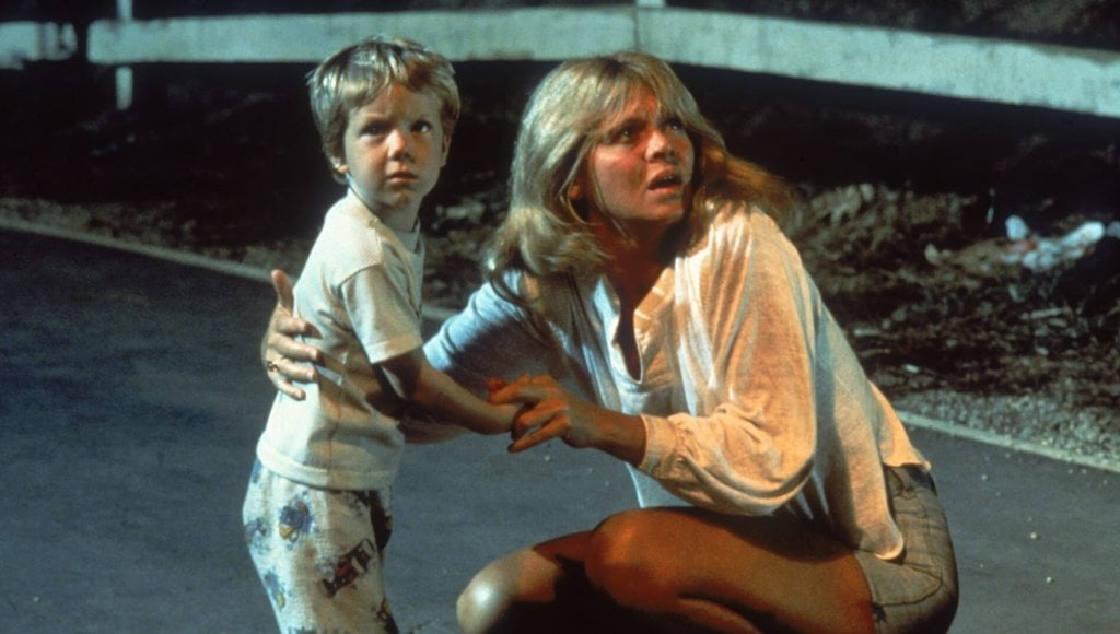 Rencontres du troisième type (Director's Cut)